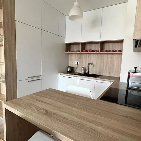 Air Conditioned 2 With Terrace, Prievozska Street Apartmán