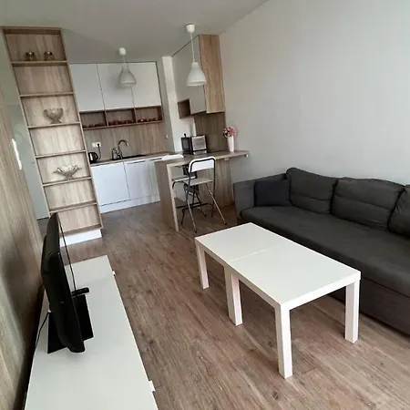 Air Conditioned 2 With Terrace, Prievozska Street 브라티슬라바