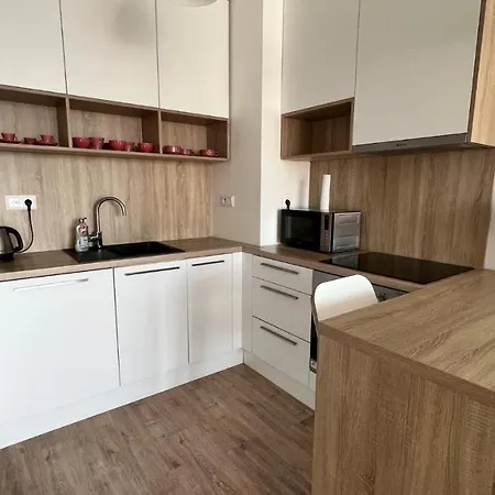 Air Conditioned 2 With Terrace, Prievozska Street Apartment Bratislava