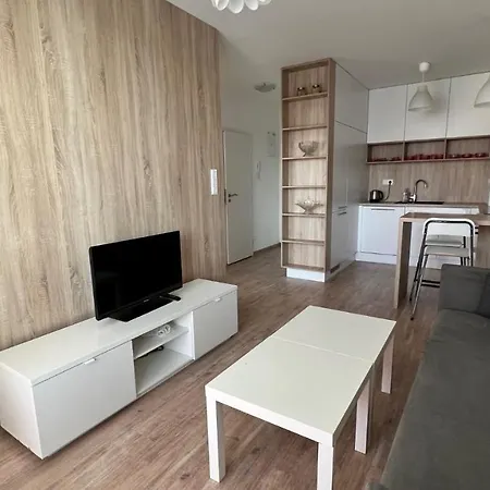 Apartment Air Conditioned 2 With Terrace, Prievozska Street Bratislava